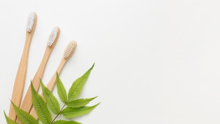 Eco-Friendly Tips For Holistic Dental Wellness